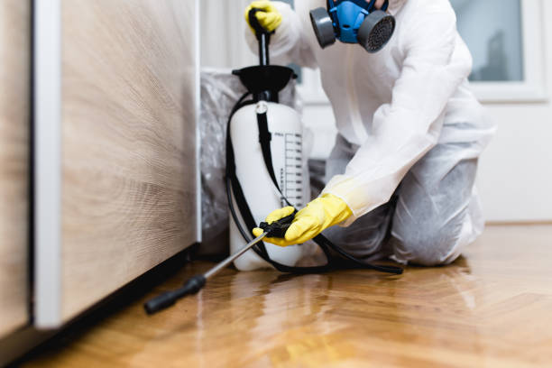 Best Affordable Pest Control Services  in Tn Lakes, WI