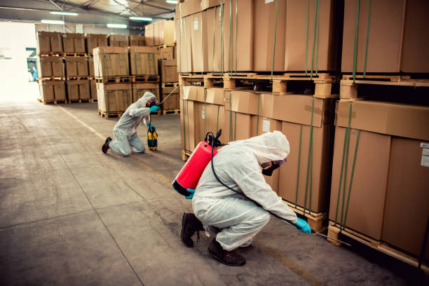 Best Ant Control Services  in Tn Lakes, WI