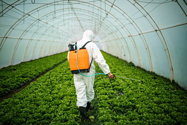 Best Pest Prevention Services  in Tn Lakes, WI