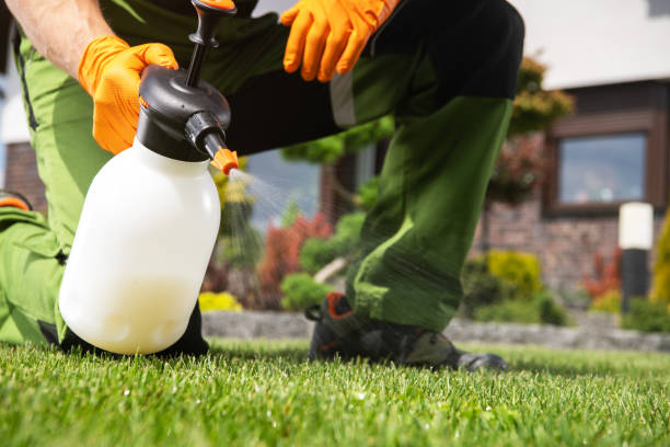 Best Affordable Pest Control Services  in Tn Lakes, WI