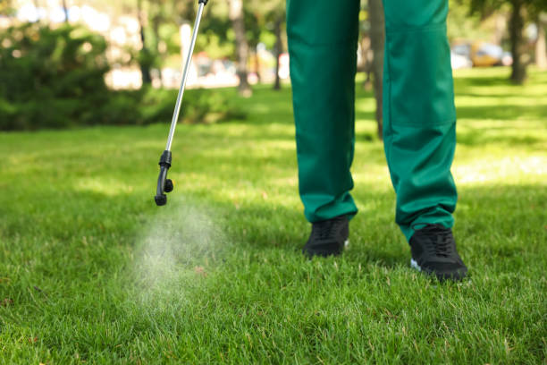 Best Best Pest Control Companies  in Tn Lakes, WI