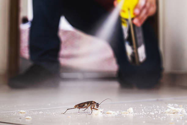 Best Best Pest Control Companies  in Tn Lakes, WI