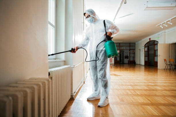 Best Mosquito Control Services  in Tn Lakes, WI
