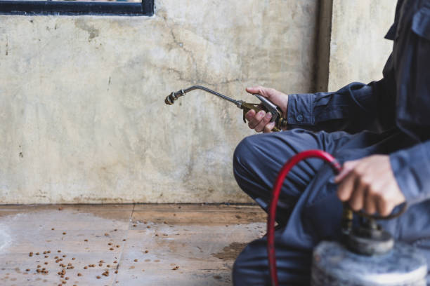Best Pest Control Treatment  in Tn Lakes, WI